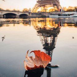 Осень в Париже 20