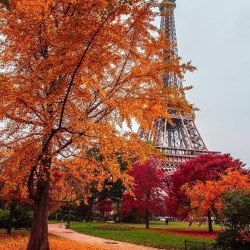 Осень в Париже 25
