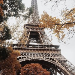 Осень в Париже 24