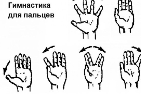 Упражнения для пальцев и кистей рук