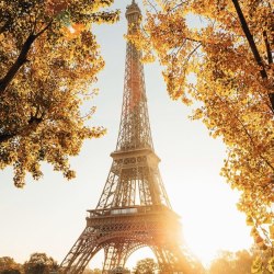 Осень в Париже 21