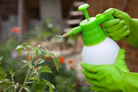 Полезная химия для сада и огорода