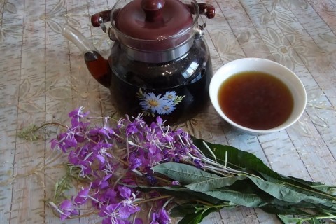 Иван-чай - русский напиток. 3 способа заготовки Иван-чая