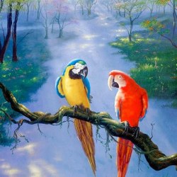 Art parrots 17