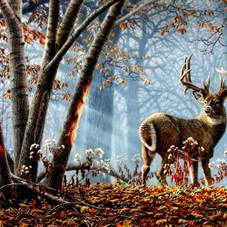 The world of animals. Artist Carl Brenders 20
