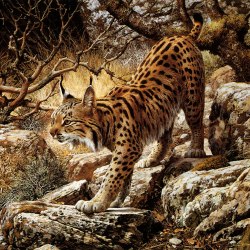 The world of animals. Artist Carl Brenders 84