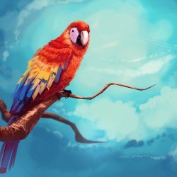 Art parrots 42