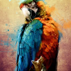Art parrots 7