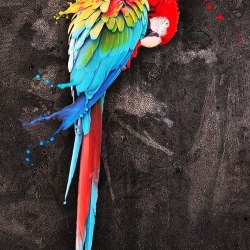Art parrots 3