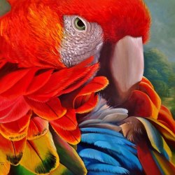 Art parrots 28