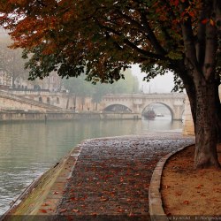 Autumn in Paris 31