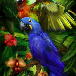 Art parrots 25
