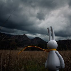 The mysterious life of toys. Photos by Brian McCarty 11