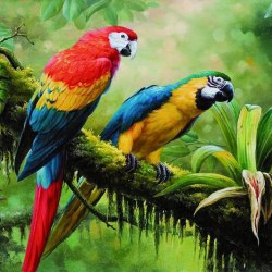 Art parrots 4