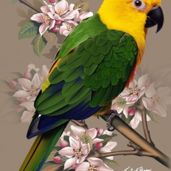 Art parrots 36