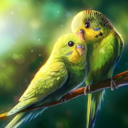 Art parrots 20