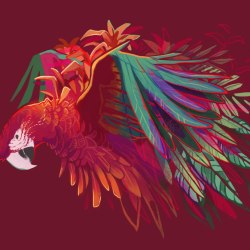 Art parrots 10