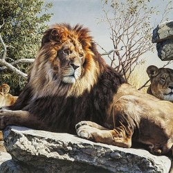 The world of animals. Artist Carl Brenders 120
