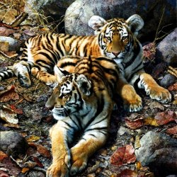 The world of animals. Artist Carl Brenders 45