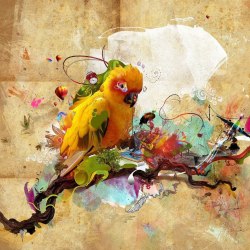 Art parrots 35